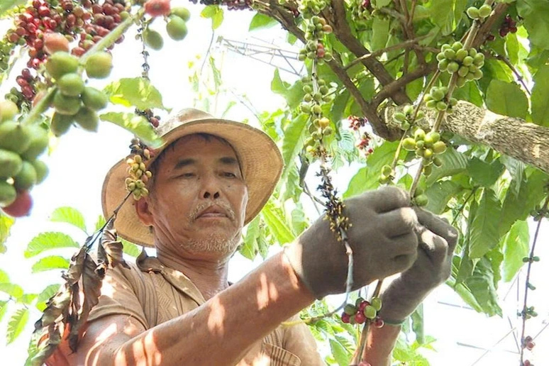 Giá vàng tối 15/03: DXY trên 100 điểm ghìm XAU/USD tại 5.019 USD, kịch bản stagflation chờ phán quyết FOMC tuần tới