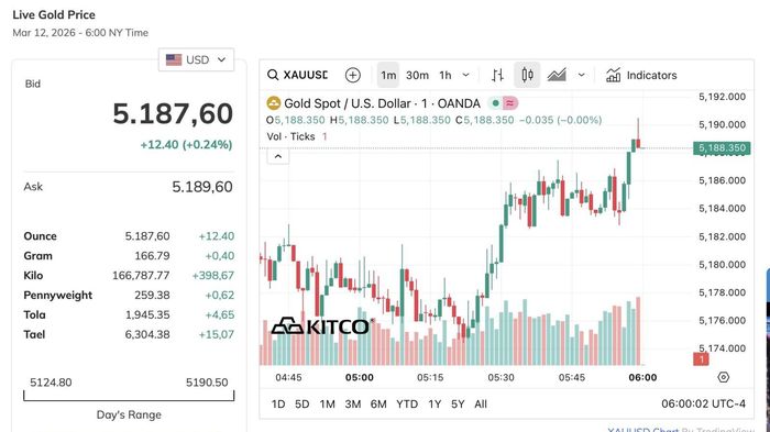Giá bạc hôm nay 13/03: XAG/USD lùi về vùng 84 USD, BTMC và Phú Quý đồng giá 3.363.000 đồng/lượng